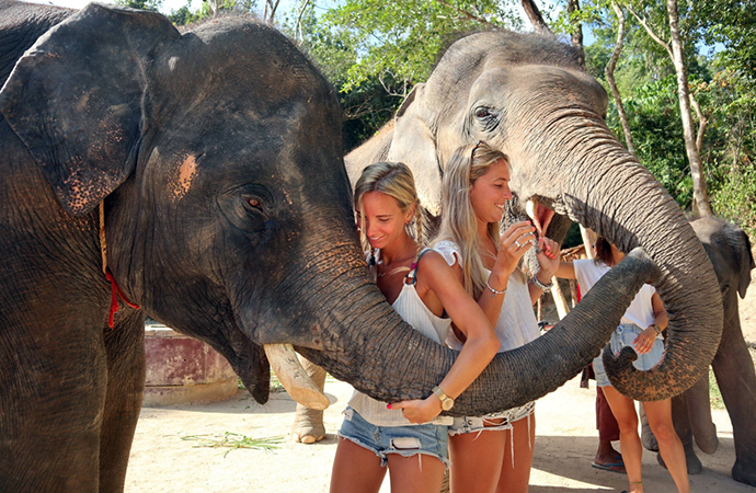 Spend the day with an Asian Icon at the Elephant Nature Park
